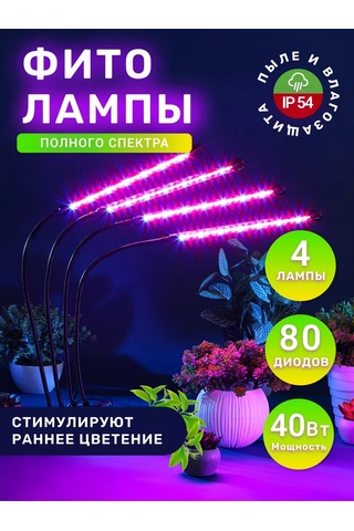 Miland Bitkiler Ve Fideler İçin Fitoluk 205302402 Violet