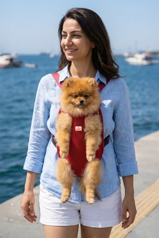 Kedi Ve Köpekler İçin Anakucağı S 5975