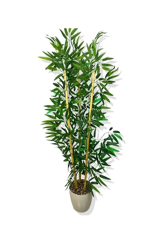 Cihan Çiçekçilik Yapay Yapraklı Bambu Ağacı 3 Bambu'lu 140 Cm Beyaz- Yeşil
