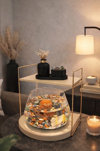 Reyo Ok-ay Store Düz Raflı Işıklı Lüks Cam Fanus İçinde Beta Balığı İçin Özel Tasarım Masa Üstü Dekoratif Akvaryum Gold-krem