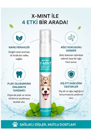 Artero X-mint Ağız Koku Giderici Ve Plak Önleyici Sprey 13 Ml