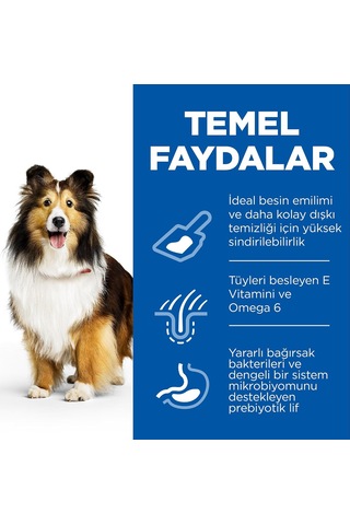's Scıence Plan Hassas Deri & Mide Yetişkin Orta Irk Tavuklu Köpek Maması 14 Kg