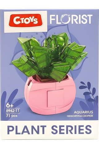 Ctoys Florist Burçlar Saksılı Bitki Yapım Seti Aquarius 8942 11