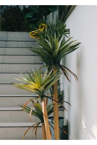 The Mia Yapay Yucca Ağacı Yeşil 180 Cm