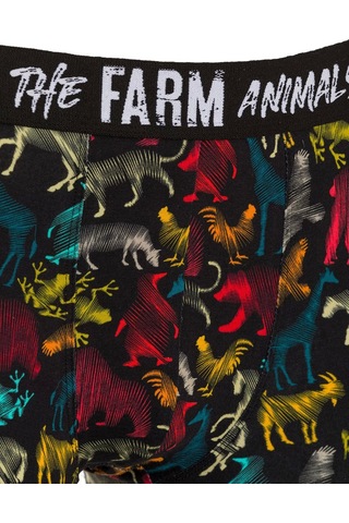 Farm Animals All Animals Desenli Boxer Çok Renkli
