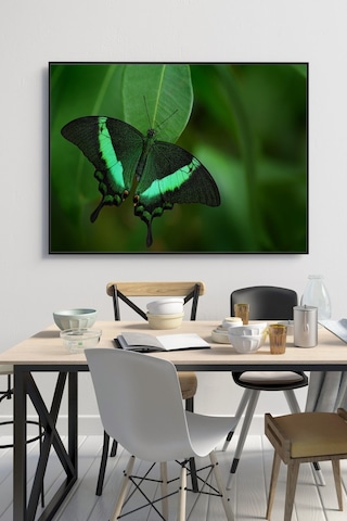 60 X 70 Cm Model 59 Desenli Cam Tablo 4Mm Temperli Camdır (503300313)