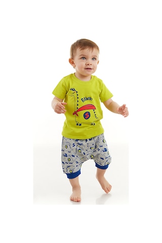 Denokids Super Dino Erkek Bebek T-shirt Kısa Pantolon Takım Çok Renkli