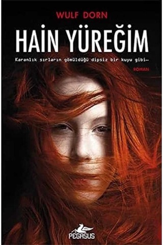 Hain Yüreğim Karanlık Sırların Gömüldüğü Dipsiz Bir Kuyu Gibi İlk Baskı 2015