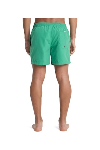 Quiksilver Everyday 15 Erkek Deniz Şortu Yesıl