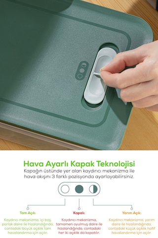 Vienev Sebze ve Meyve Saklama Kabı Seti Yeşil 3'lü 1 x 2.5 - 3.8 - 5 L