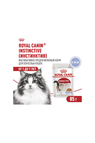 Royal Canin Kedi Maması Instinctive Jöleli 85 G 10 Adet 238639845