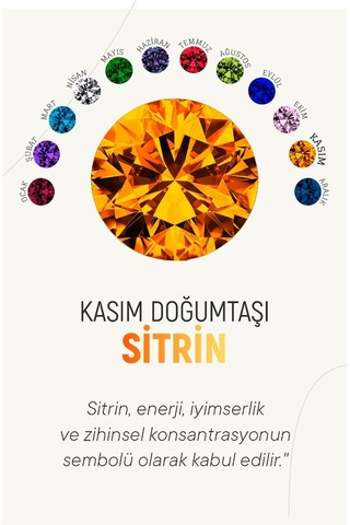 Kasım Sitrin Doğum Taşı Rose Tektaş Çivili Gümüş Küpe