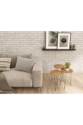 Zigon Sehpa 3'lü Yuvarlak Siyah Tel Ayaklı Ceviz