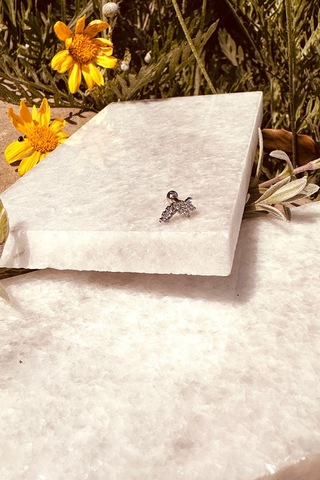 Star Sıra Yıldız Tasarım Zirkon Taşlı Şık Gümüş Renk Çelik Piercing Tragus Helix Stainless Steel Gümüş