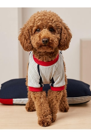 Yacht Club Marin Çizgili Köpek Uyku Takımı Lacivert Kırmızı Pamuklu Köpek Tulumu Ve Mini Yastık Küçük Irklar İçin