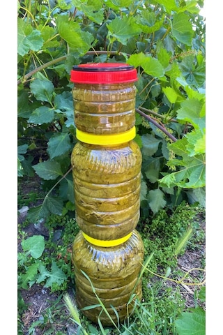 Tokat Salamura Asma Yaprağı 3 Kg.