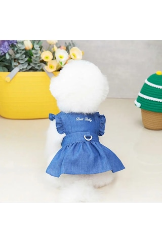 Best Golden Monkey Köpekler İçin Elbise-çekme 171026567