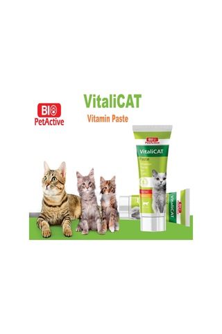 Vitalicat Kediler İçin Vitamin, Macun Paste , 100 Ml