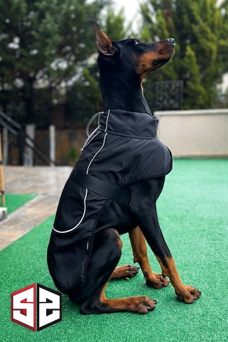 Salya Store Büyük Ve Orta Irk Su Geçirmez Köpek Montu Km-104