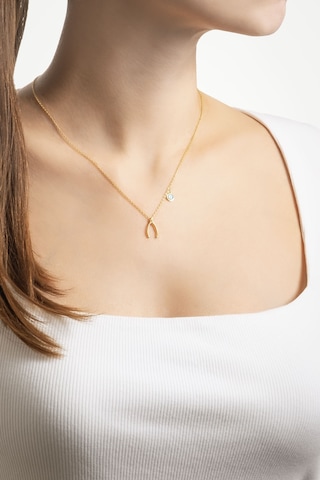 Lades Kemiği 18 Ayar Sarı Altın Kaplama 45 Cm Minimal Gümüş Kolye Sarı