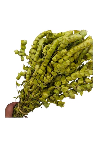 Anamur Adaçayı Demet 150 Gr/35-40 Adet