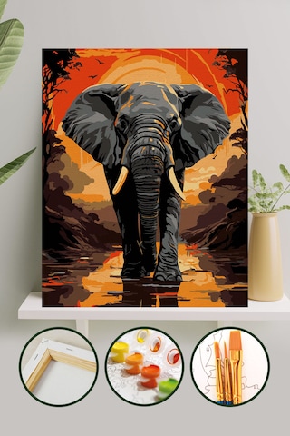 Sayılarla Boyama Tuval Seti 40x50 Cm - Fil