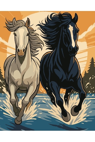 Denic Sayılarla Boyama Seti 40x50 Cm (Çıtalı) Fırça Boya Dahil Numaralı Tuval Beyaz ve Siyah At