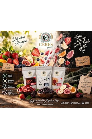 Dondurularak Kurutulmuş Berry Mix Çilek,böğürtlen,frambuaz 60 G