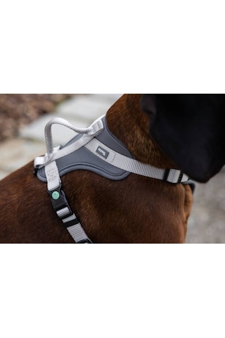 Y Tipi Spor Köpek Göğüs Tasması 20 Mm 38-62 / 58-74 Cm - Fitty Serisi - M Gri