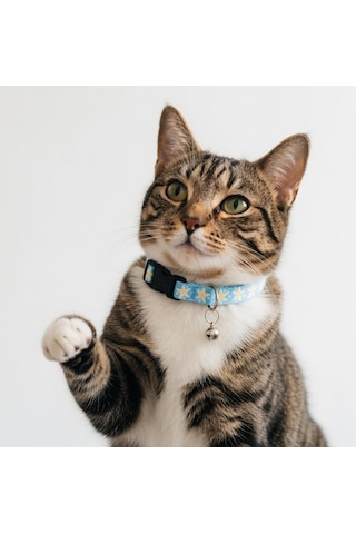 Tatucha Galaxy Harmony Kedi Boyun Tasması, Özel Koleksiyon, Lacivert Açık Mavi