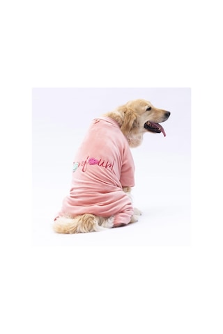 Rose Angers Büyük Irk Köpek Tulum-köpek Kıyafeti