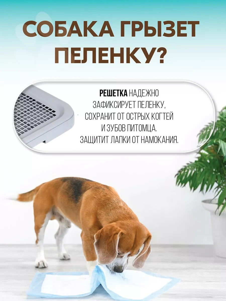 Pettails Bebek Bezi İçin Ağlay Leveringlı 51 41 4 Cm Köpeklerde Tuvalet Tuvalet Kabı 243177054