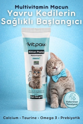 Vitpaw Kitten & Mom Paste