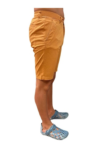 Superfly Chino Lycra Erkek Şort-37