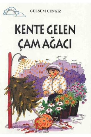 Tomurcuk 4-kente Gelen Çam Ağacı - Ajak-824458 Diğer Tomurcuk 4-kente Gelen Çam Ağacı - Ajak-824458 Diğer