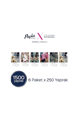 Home Asmalı Havlu 250'li X6 Adet 1500 Yaprak