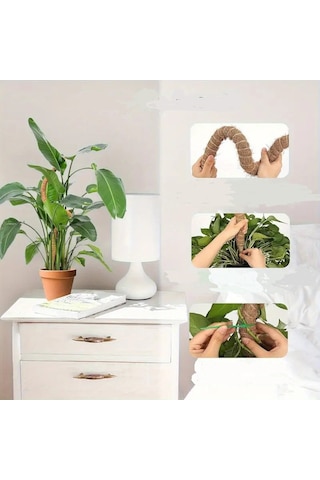 Bitki Tırmanma Braketi Sarmaşık Ve Çiçekler İçin Dayanıklı Destek Aparatı