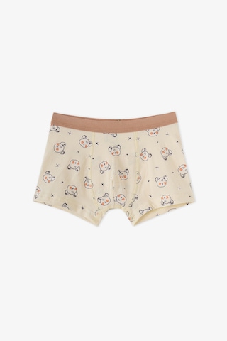 Penti Erkek Çocuk Mavi Cute Animals Pamuklu 3lü Boxer