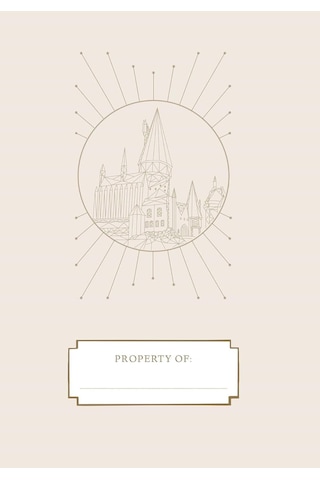 Lexroo Harry Potter 2024-2025 Academic Year Planner Çok Renkli