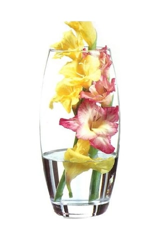 Paşabahçe 43966 Botanica Cam Vazo 26x8 Cm