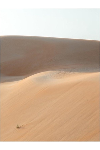 Homyl 1 Parça Doğa Manzara Tuval Duvar Sanatı Ev Çöl