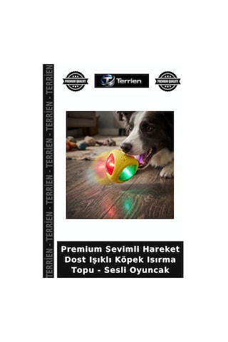 Premium Sevimli Hareket Dost Işıklı Köpek Isırma Topu - Sesli Oyuncak