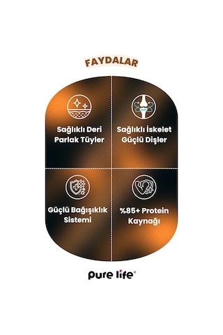Purelife Tavuk Etli Yetişkin Kedi Maması 15 KG