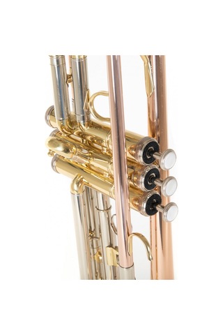 Roy Benson Tr-202g Bb Trompet Gold Brass Altın Pirinç Kalak S