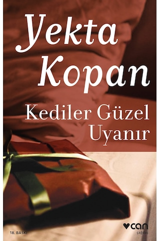 Kediler Güzel Uyanır  - Yekta Kopan - Can Yayınları
