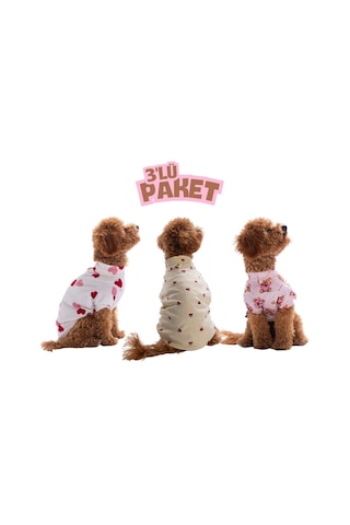 Cool Love Havalı Aşk 3'lü Sweat Set Kedi Köpek Sweati - Kedi Köpek Kıyafeti