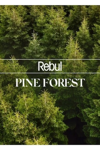 Rebul Kolonyalı Mendil Pine Forest 50 Adet 50'li Set