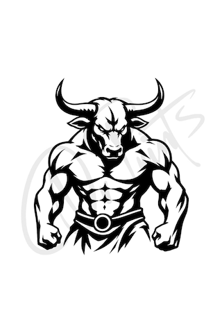 Araç Sticker Otomobil Motosiklet Özelleştirme 02