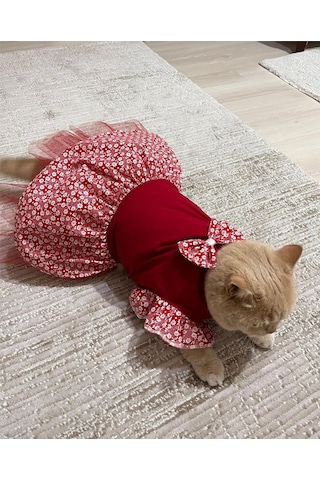 Gobo Çiçek Desenli Papyonlu Kedi Köpek Kıyafeti Elbisesi