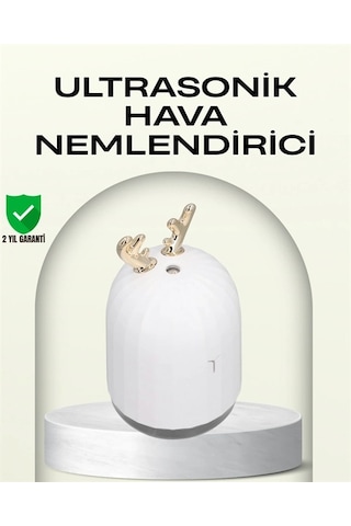 Ceylan Adam Abs+pp Malzemeli Taşınabilir 220 Ml Usb Mist Nemlendirici